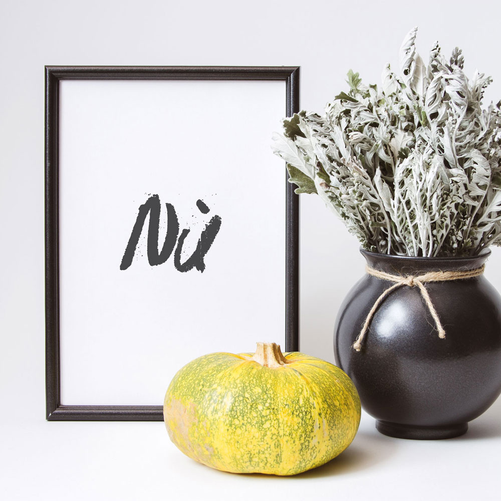 nu-frame-pumkin-product